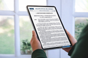 Persona consultando el BOE oficial en tablet